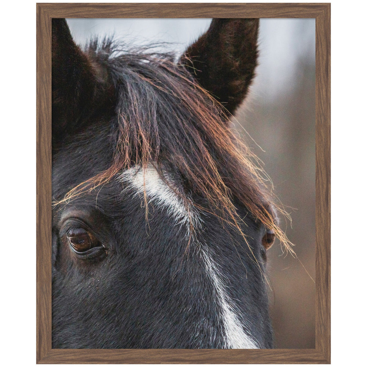 Black and White Horse by Emiko and Mark Franzen F2 Images Framed Wall Art Print