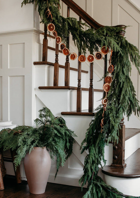 Norfolk Pine Garland