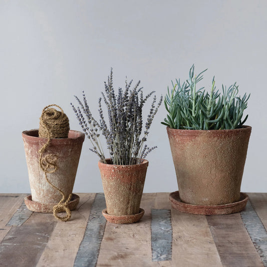 Cement Planter with Saucer