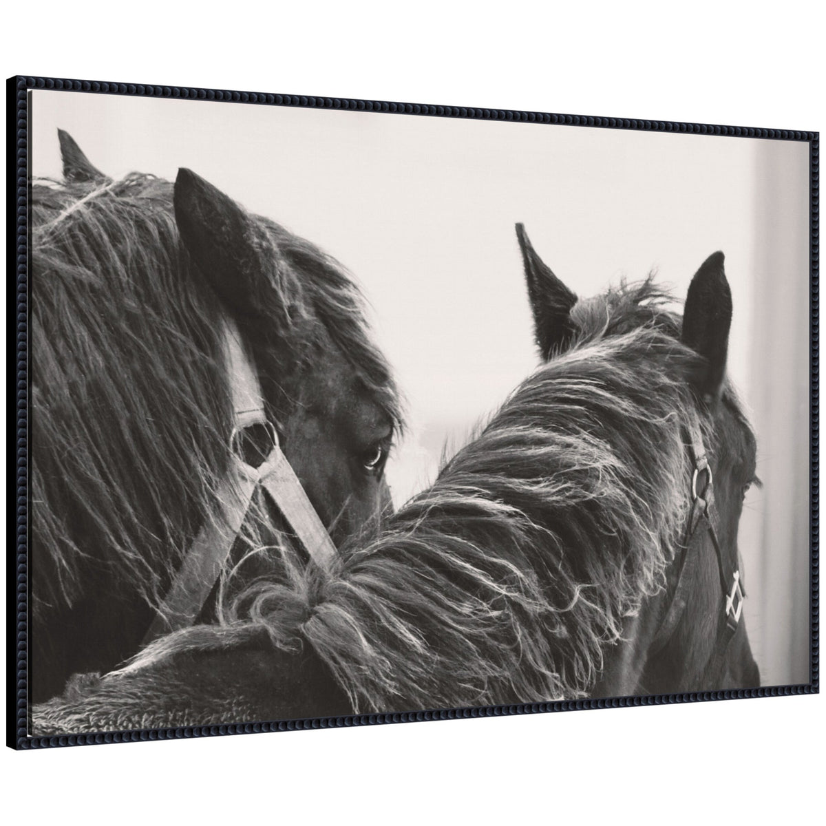 Black Horses by Emiko and Mark Franzen F2 Images Framed Canvas Wall Art Print