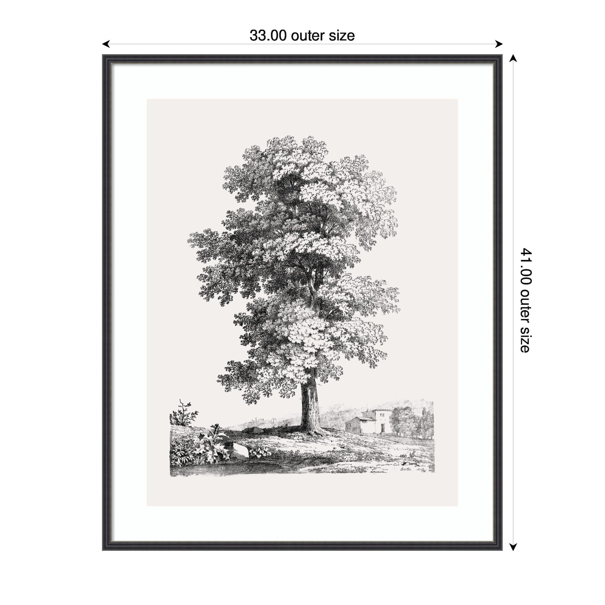 Framed Art Jean Victor Bertin Study of a Tree 1816 by The Art Institute of Chicago