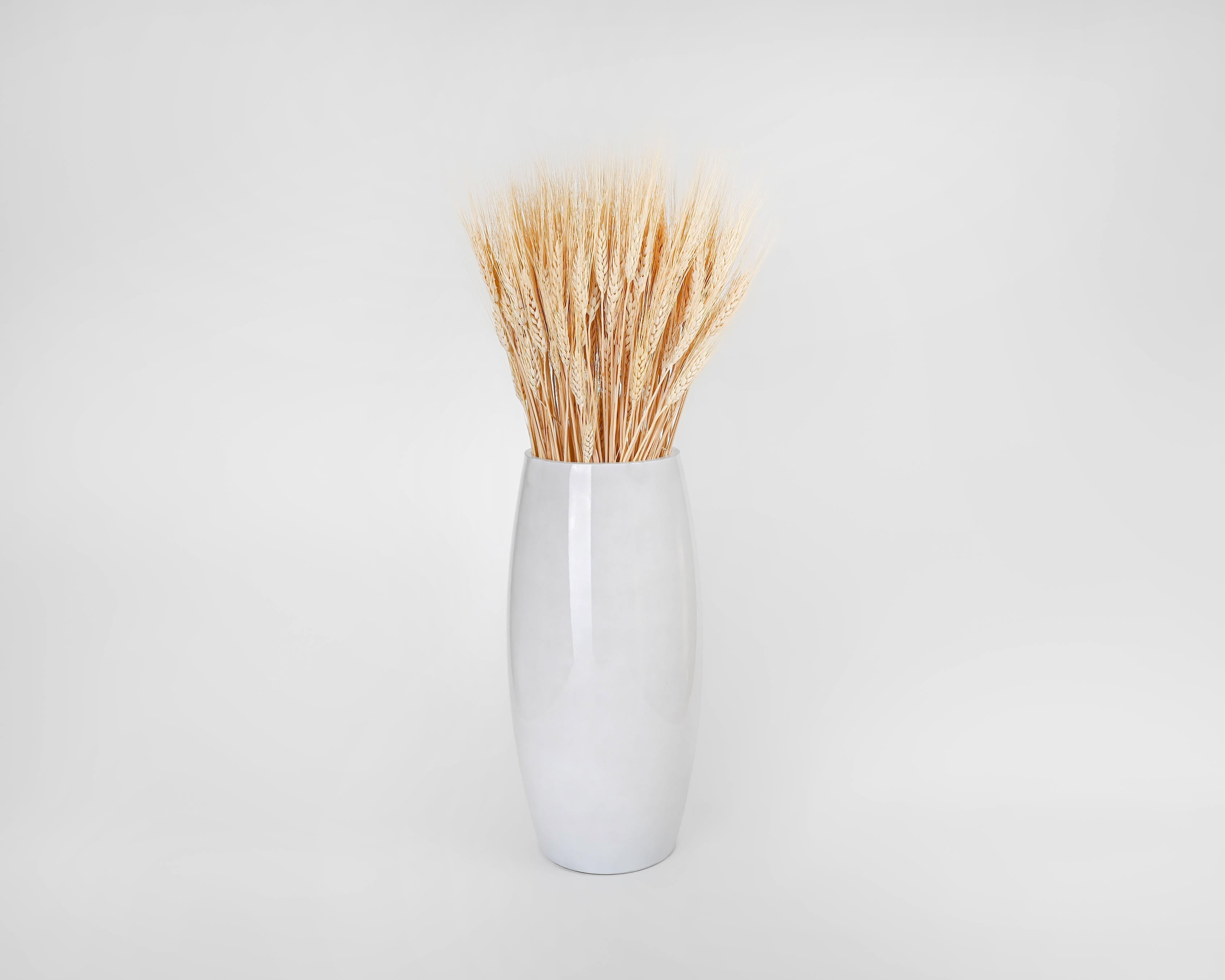 Dried Wheat | 8 oz Bunches | Blonde