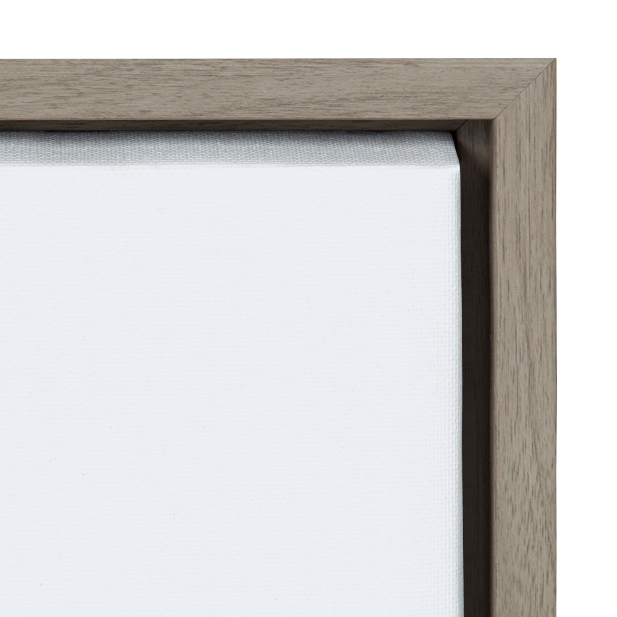 Sylvie Fogged Landscape Framed Canvas by Alicia Abla
