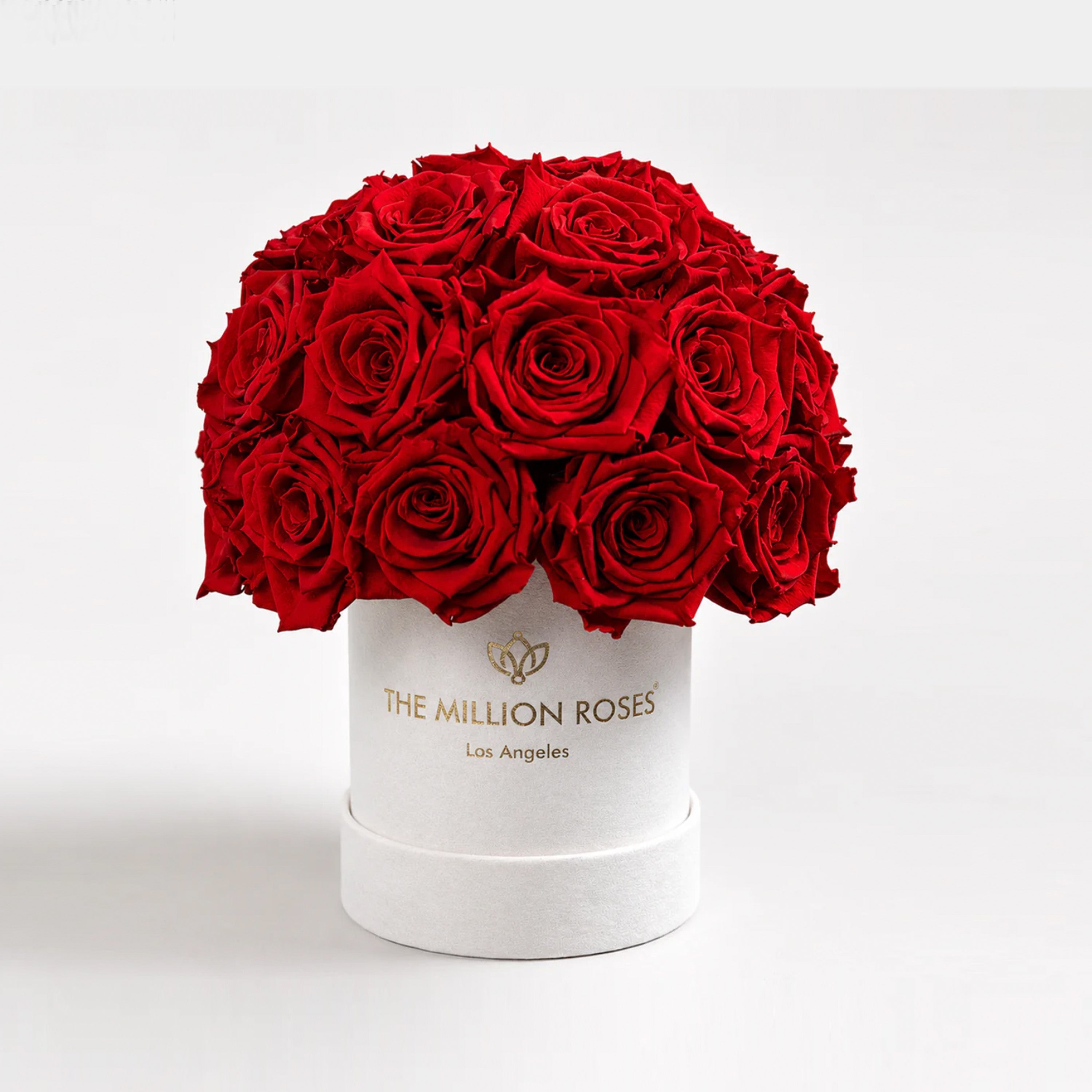 Essence Beige Suede Superdome Box | Red Roses