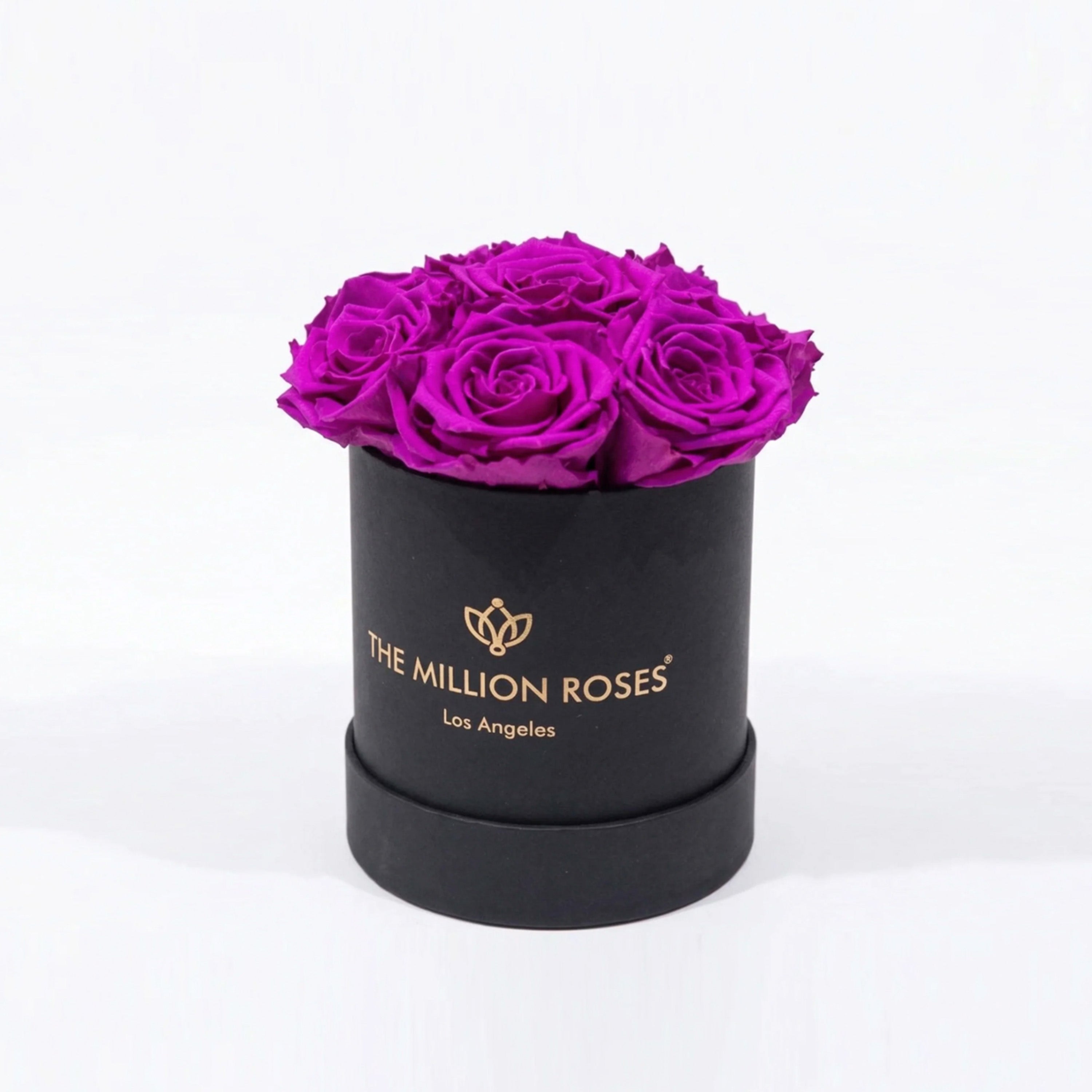 Essence Black Box | Bright Purple Roses