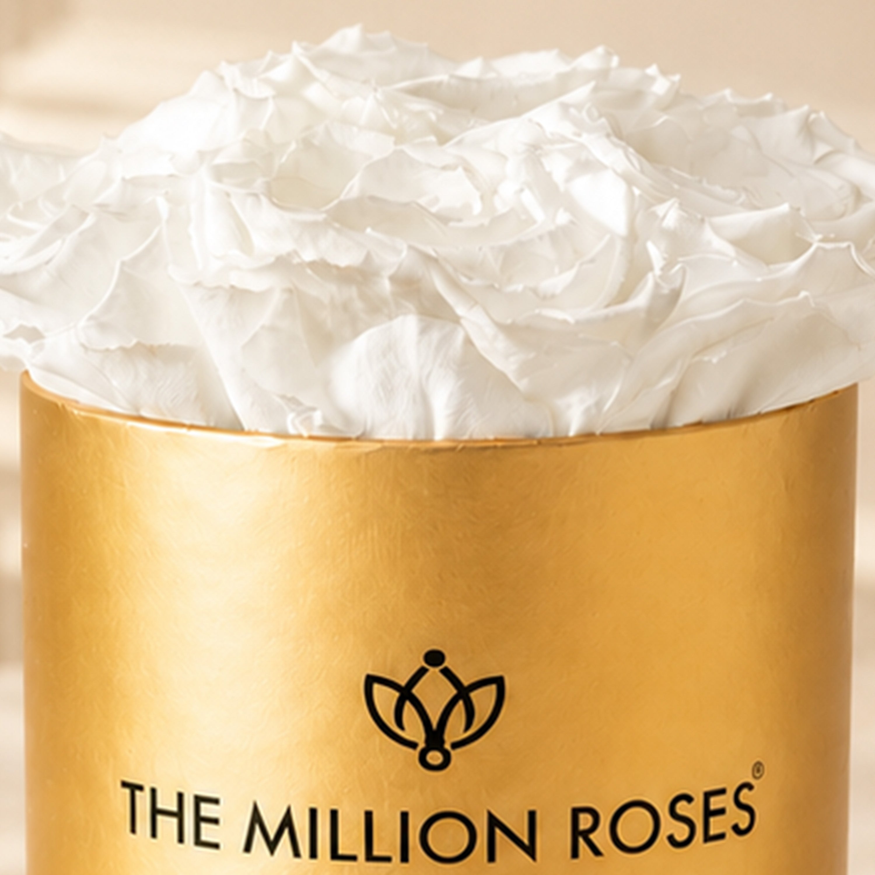 Essence Gold Box | White Roses