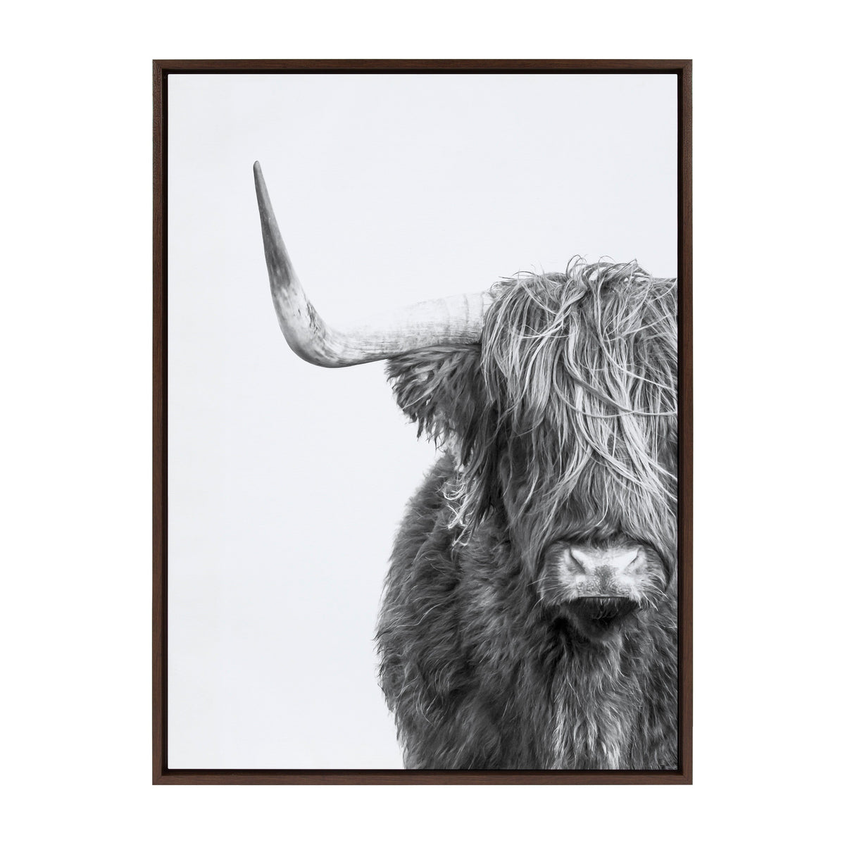 Sylvie B&W Highland Cow No. 1 Framed Canvas by Amy Peterson Art Studio