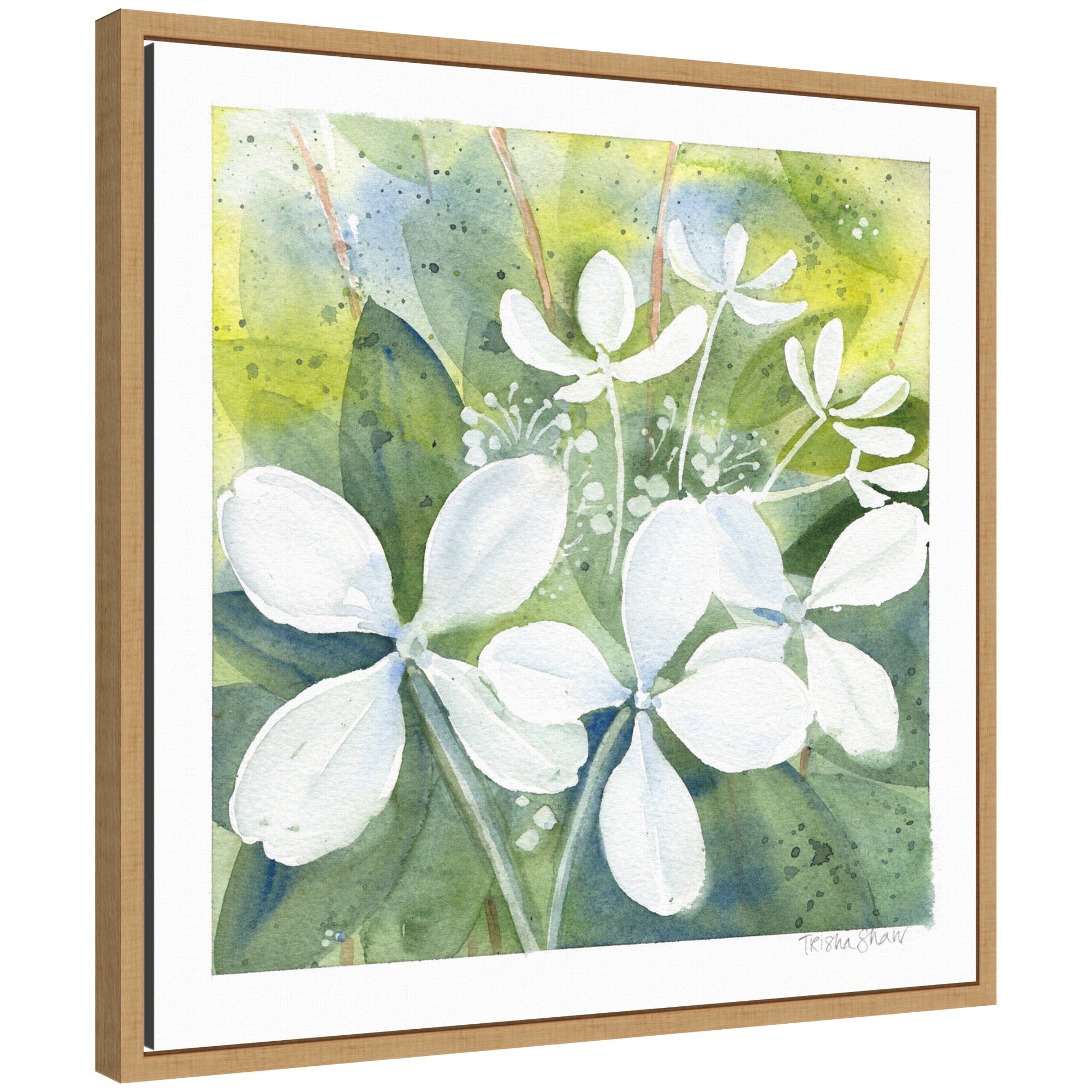 Sylvie White Phantom Hydrangea in Greens Framed Canvas by Patricia Shaw