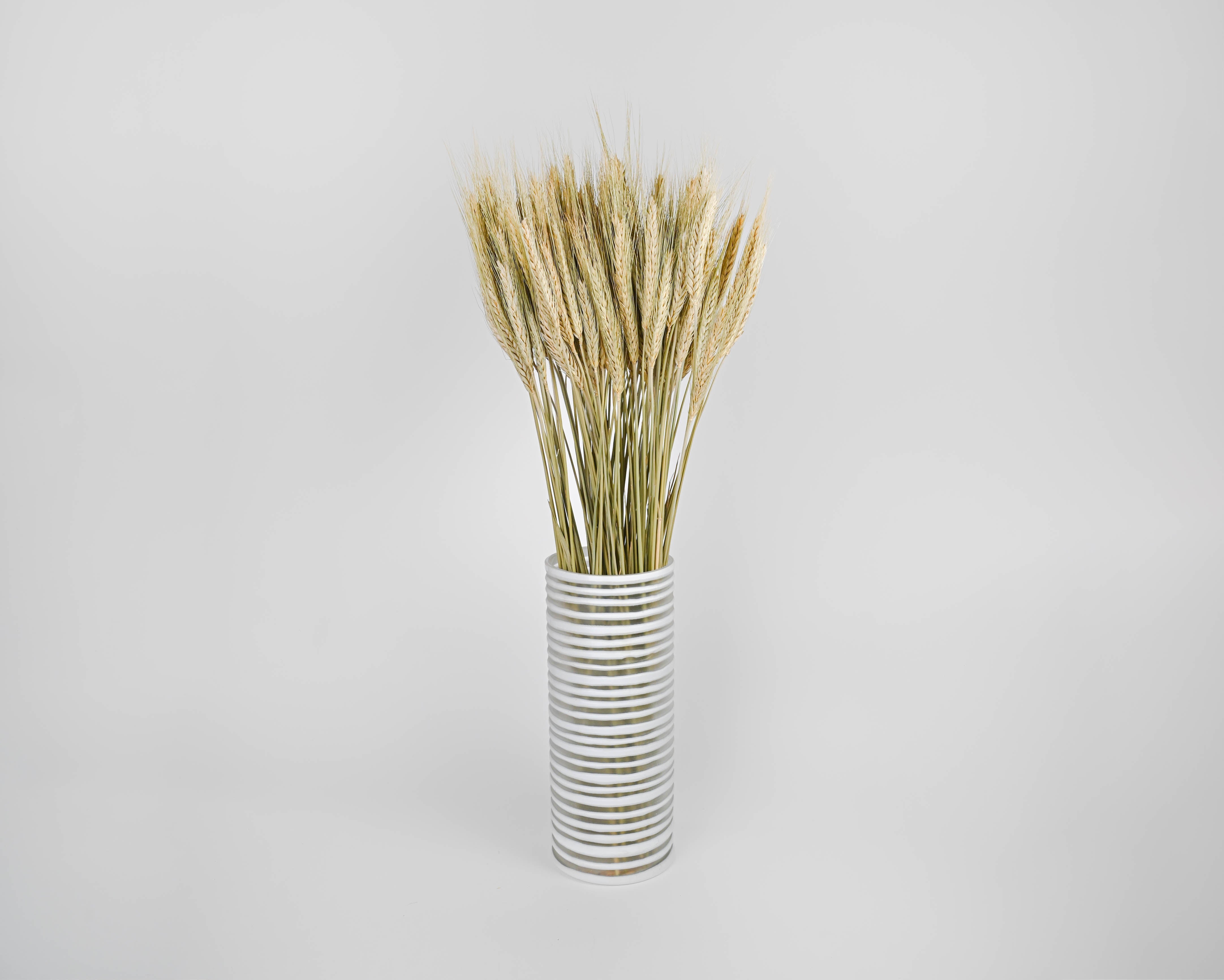 Green Bearded Wheat Bundle | 20 Bunches | Green
