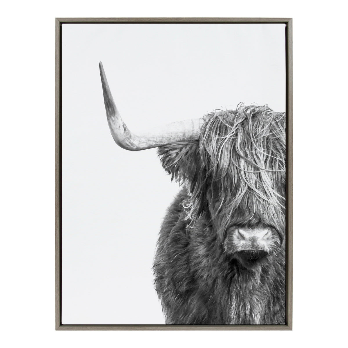 Sylvie B&W Highland Cow No. 1 Framed Canvas by Amy Peterson Art Studio