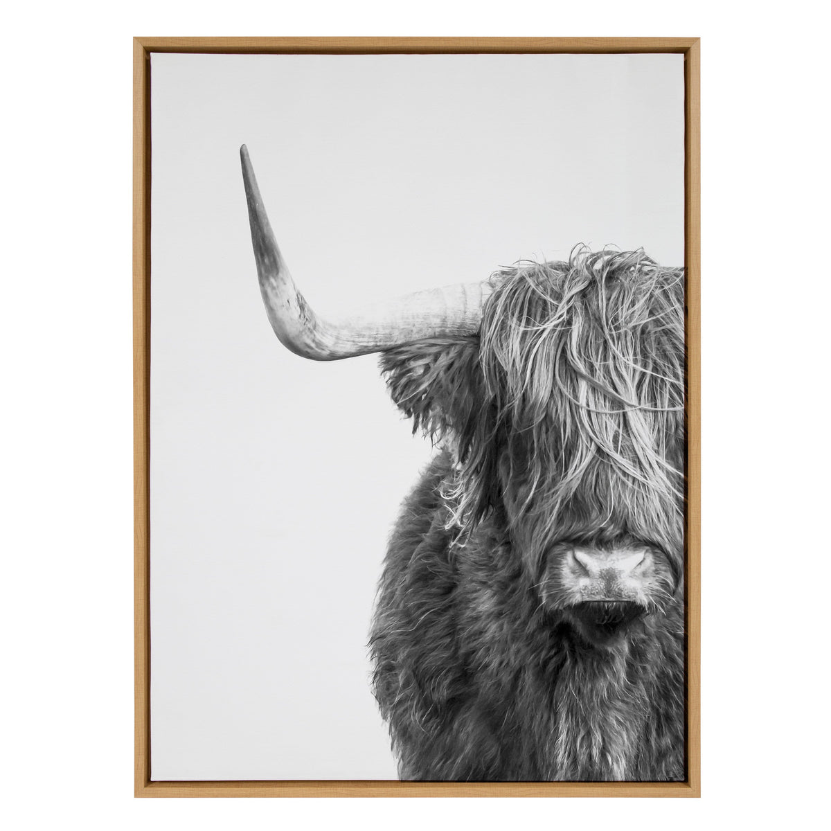 Sylvie B&W Highland Cow No. 1 Framed Canvas by Amy Peterson Art Studio
