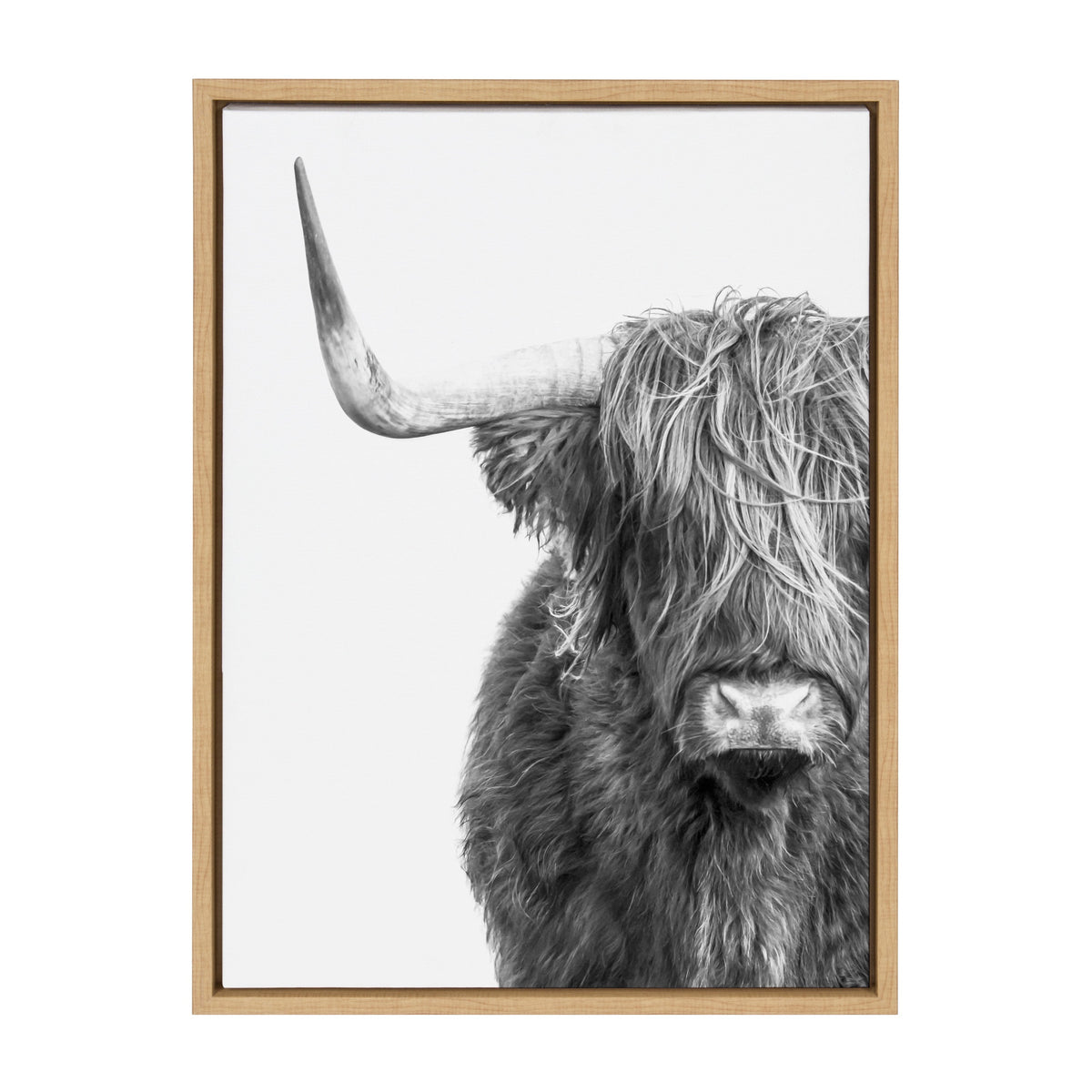 Sylvie B&W Highland Cow No. 1 Framed Canvas by Amy Peterson Art Studio