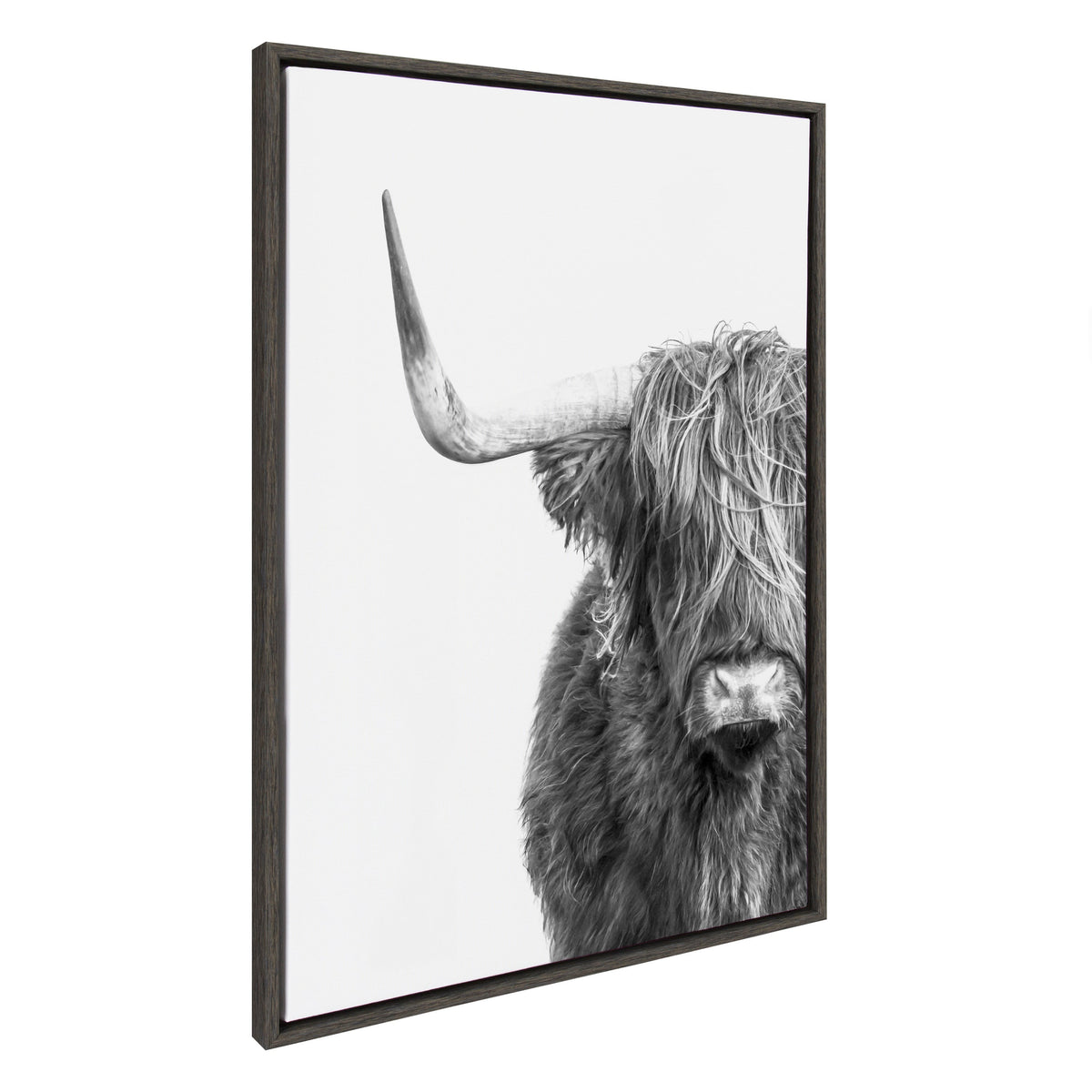 Sylvie B&W Highland Cow No. 1 Framed Canvas by Amy Peterson Art Studio