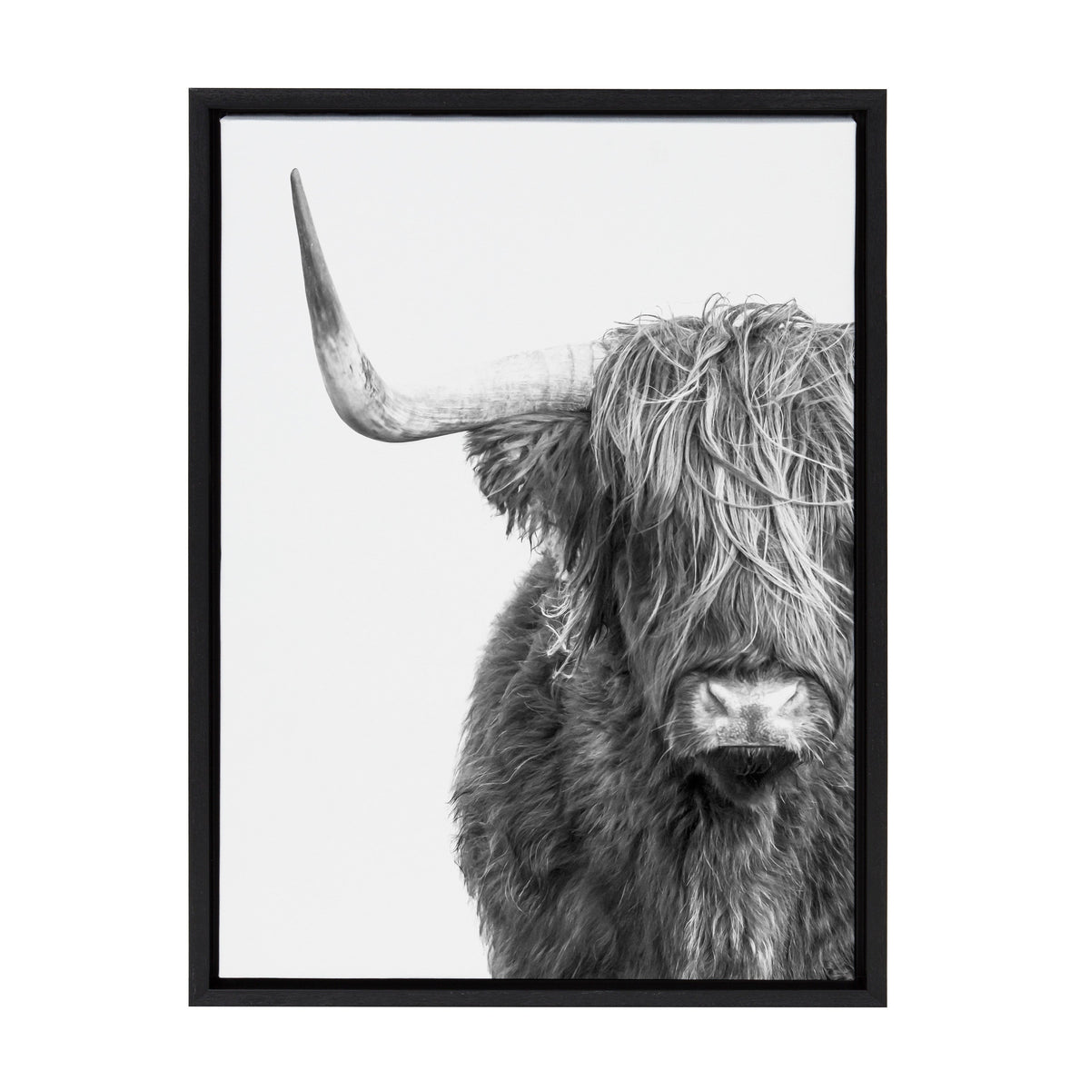 Sylvie B&W Highland Cow No. 1 Framed Canvas by Amy Peterson Art Studio