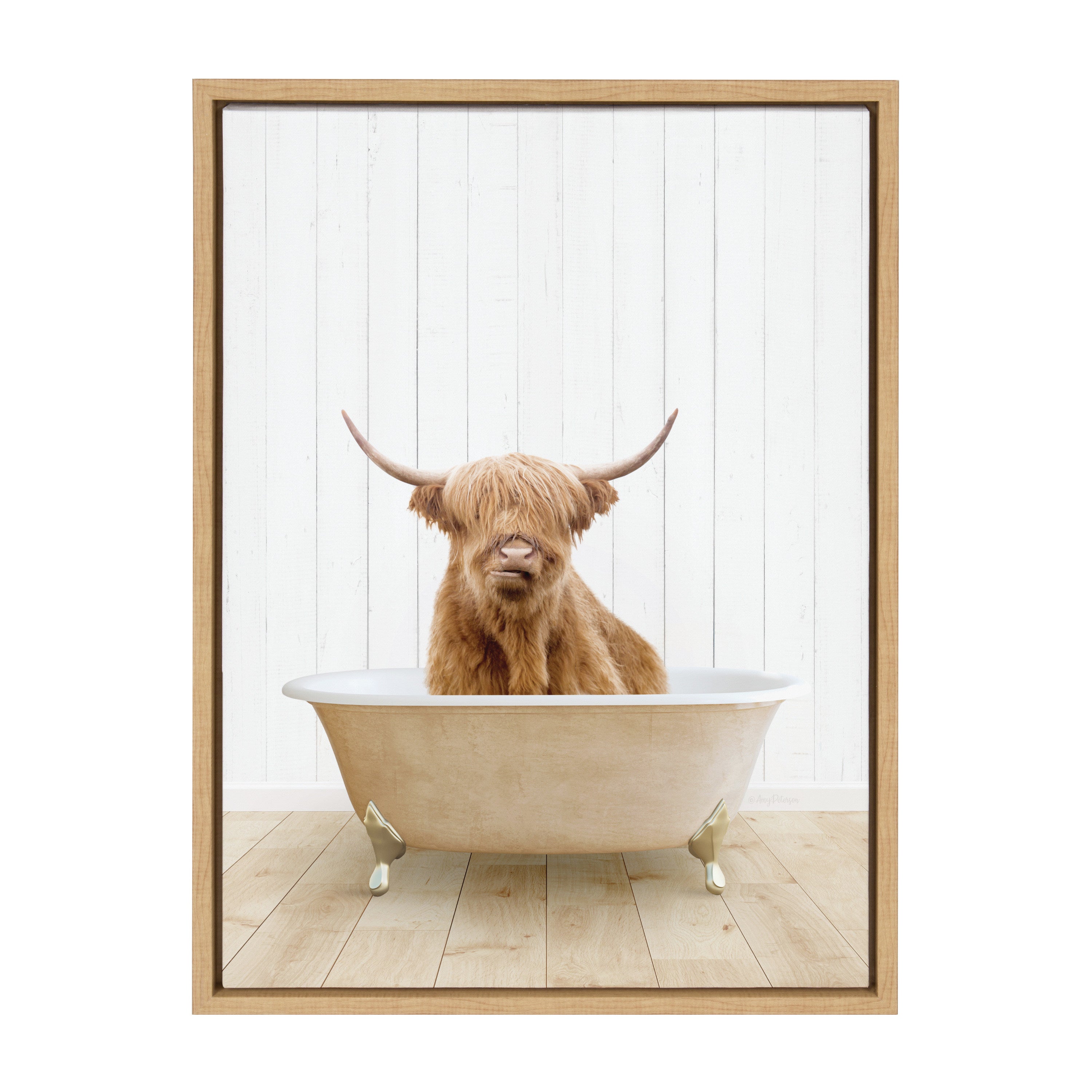 Sylvie Highland Cow Farmhouse Bath Framed Canvas by Amy Peterson Art Studio