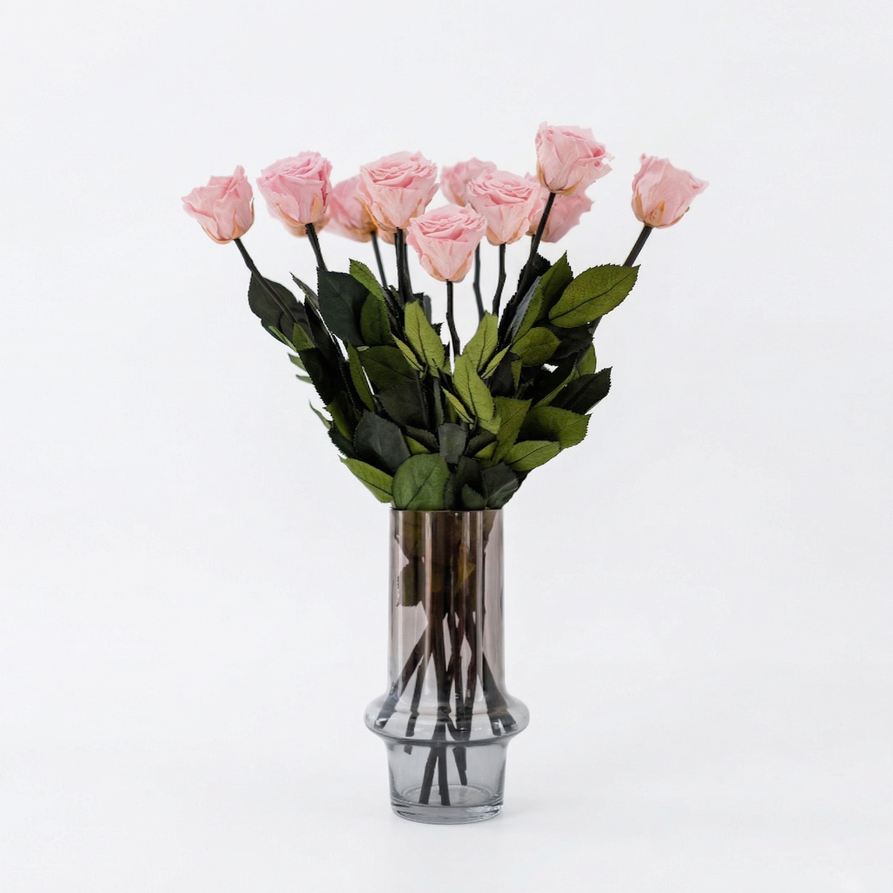 Long Stem Roses | Light Pink Roses