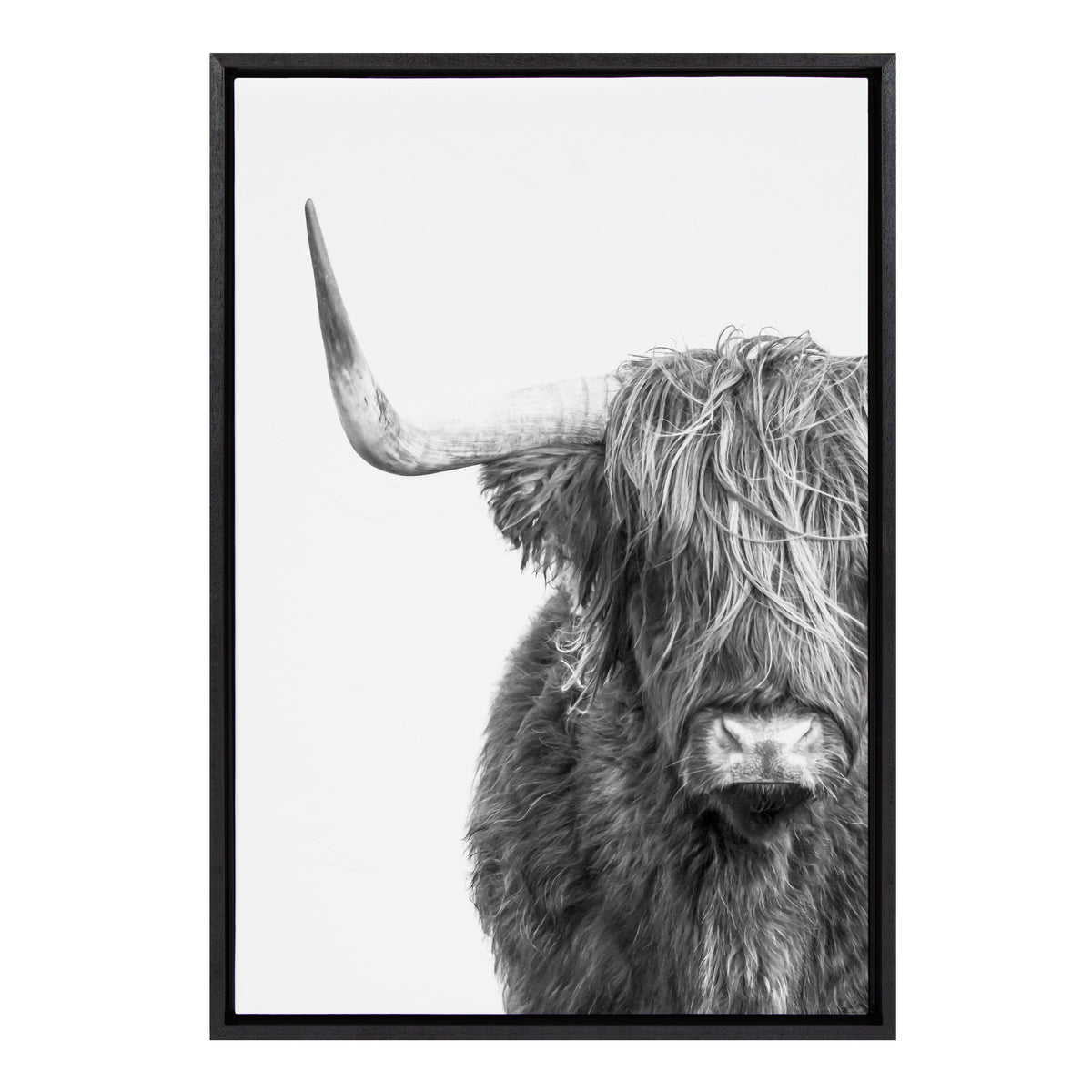 Sylvie B&W Highland Cow No. 1 Framed Canvas by Amy Peterson Art Studio