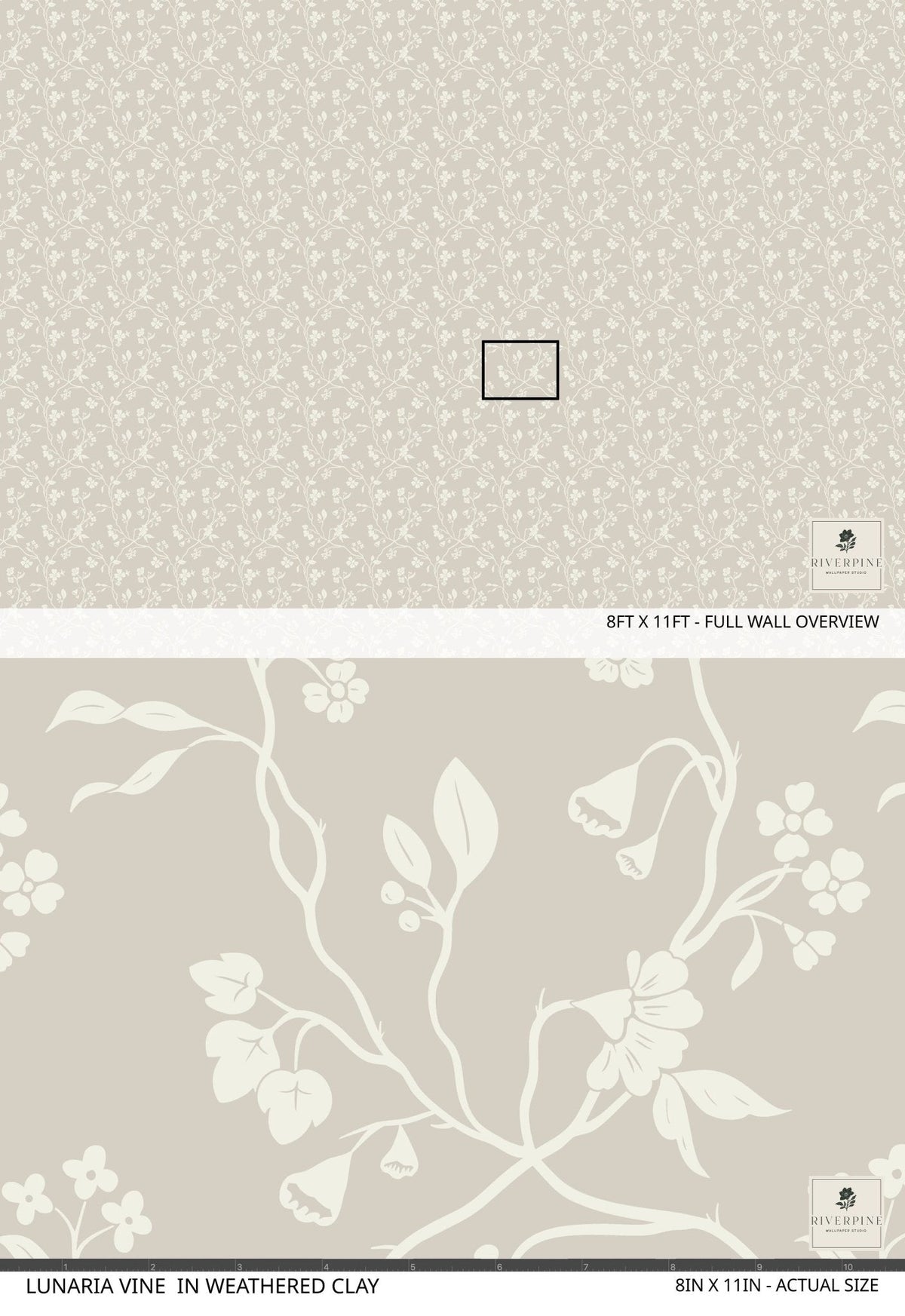 Lunaria Vine Wallpaper in Weathered Clay
