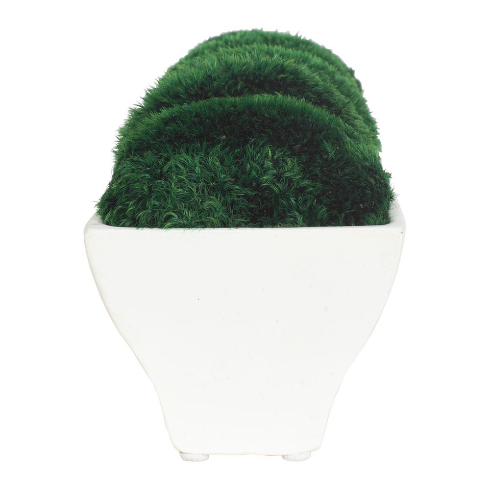 Verdant Moss Centerpiece in White