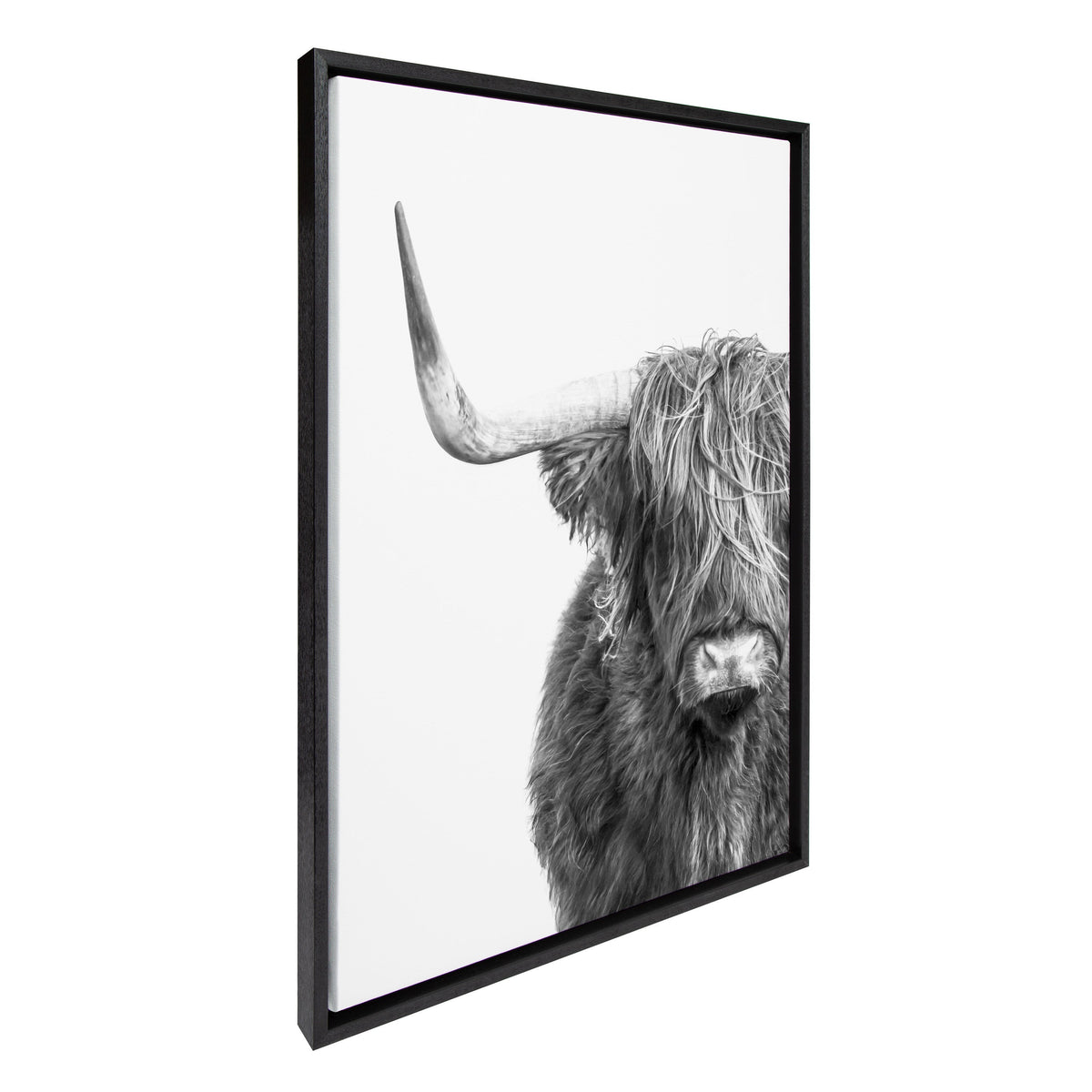 Sylvie B&W Highland Cow No. 1 Framed Canvas by Amy Peterson Art Studio
