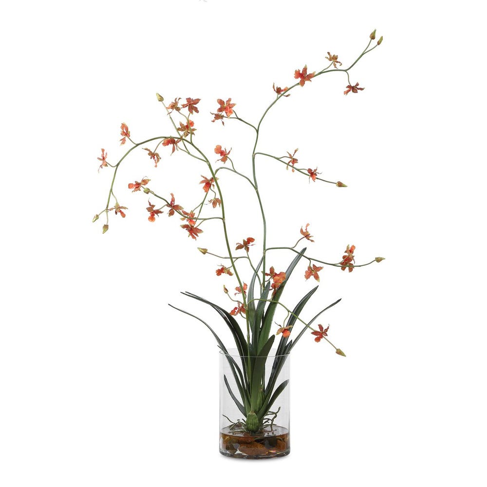 Solenne Orange Orchid Glass Arrangement