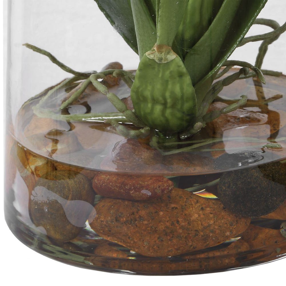 Solenne Orange Orchid Glass Arrangement