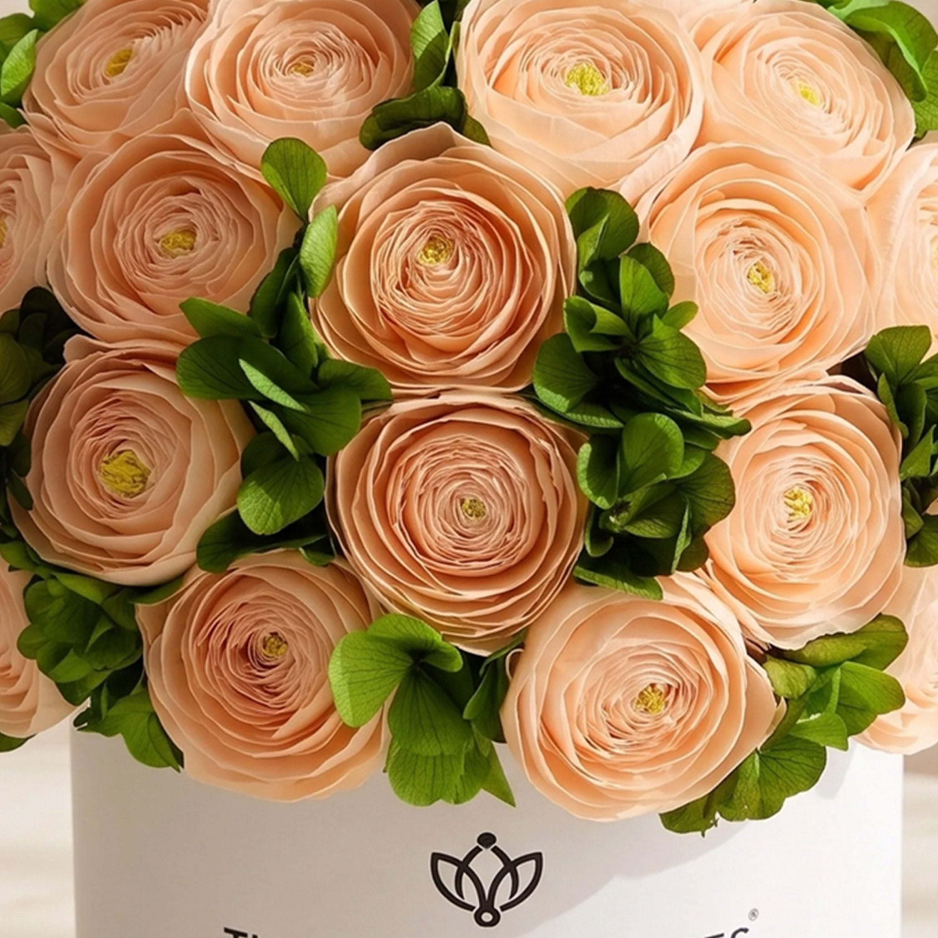 Classic White Box | Peach Persian Buttercups & Green Hydrangeas