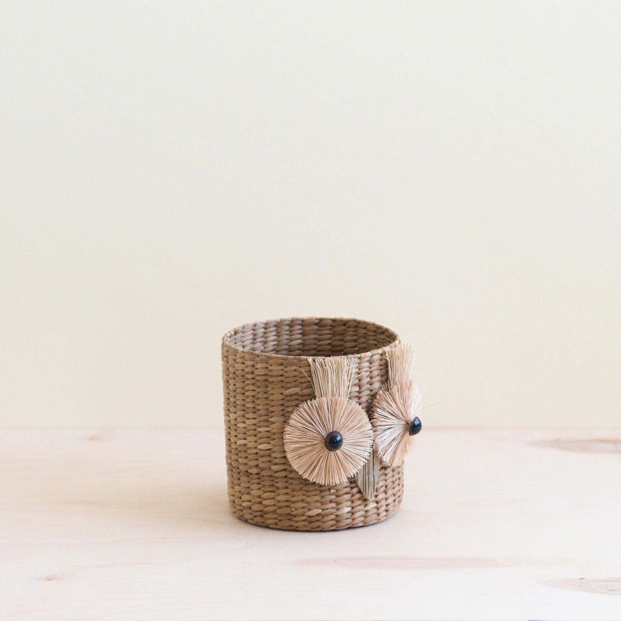 Owl 6" Seagrass Basket Planter - Succulent Plant Pot | LIKHÂ