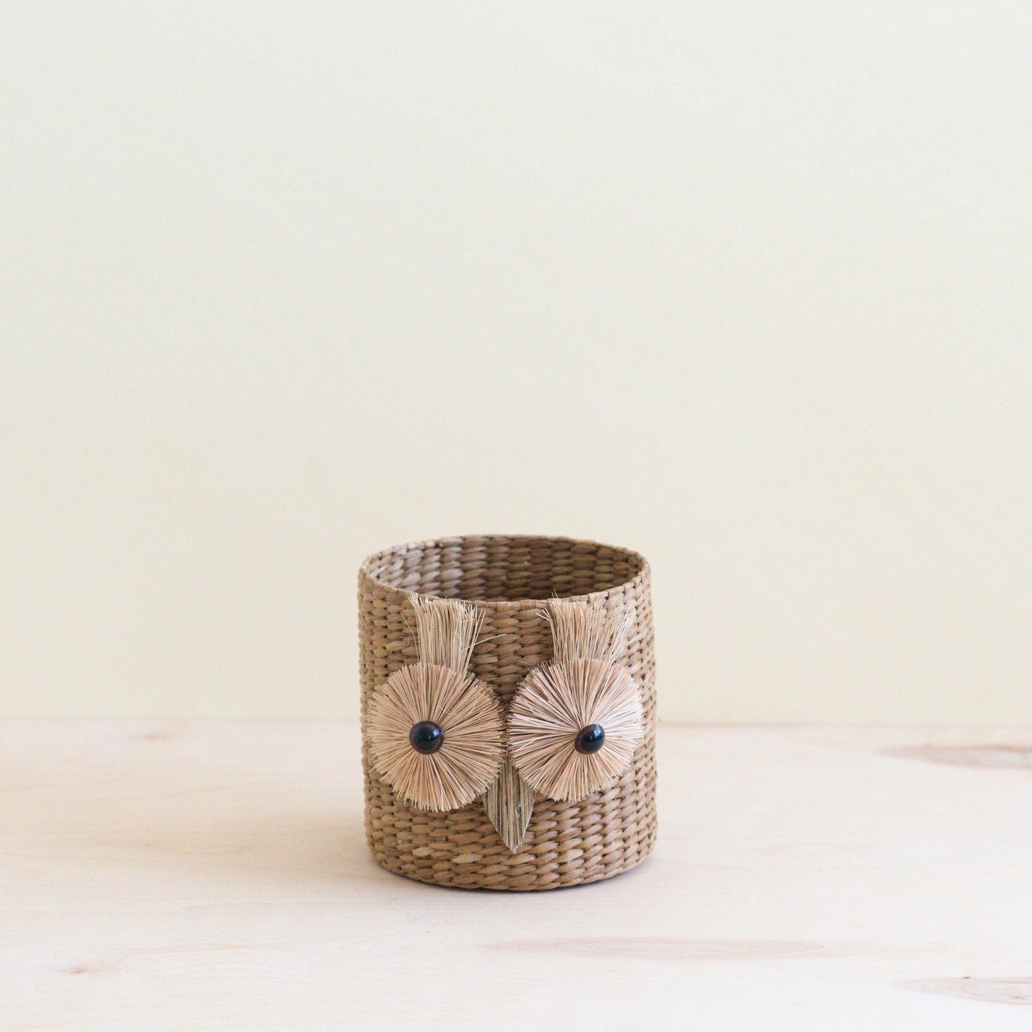 Owl 6" Seagrass Basket Planter - Succulent Plant Pot | LIKHÂ