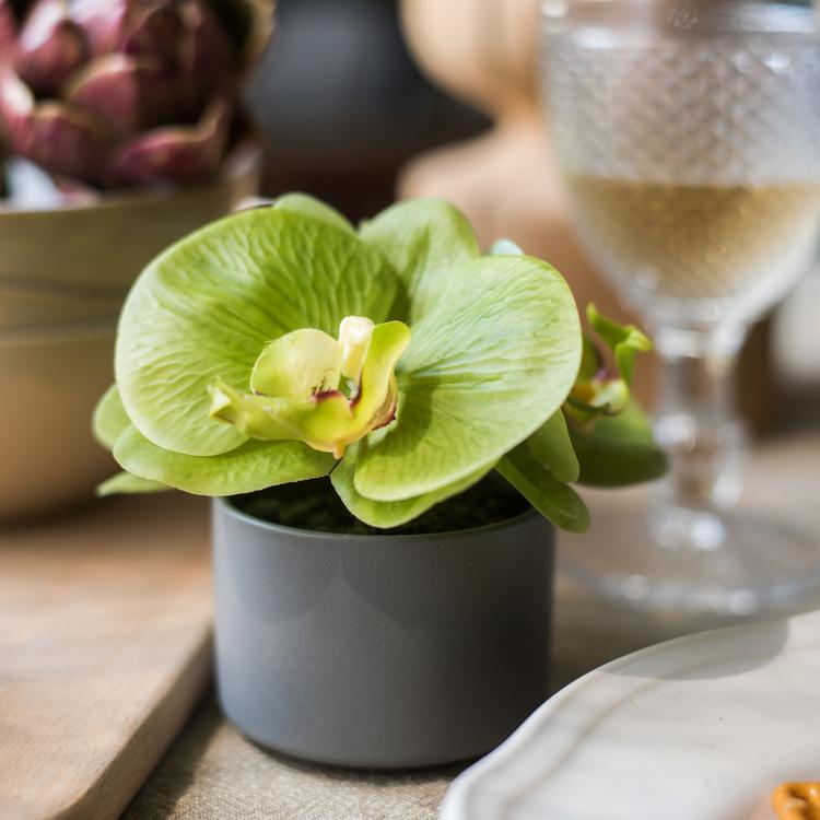 Artificial Faux Flower Mini Real Touch Potted Orchid Green