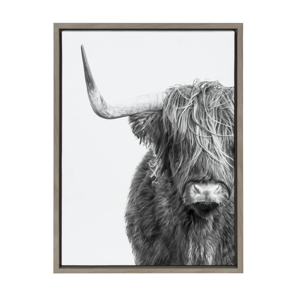 Sylvie B&W Highland Cow No. 1 Framed Canvas by Amy Peterson Art Studio