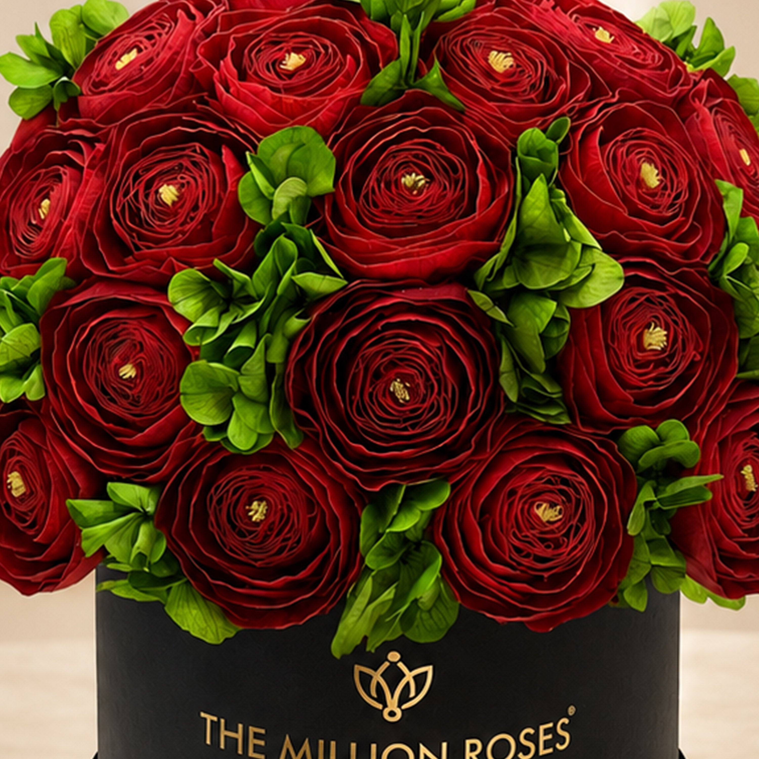 Classic Black Box | Red Persian Buttercups & Green Hydrangeas