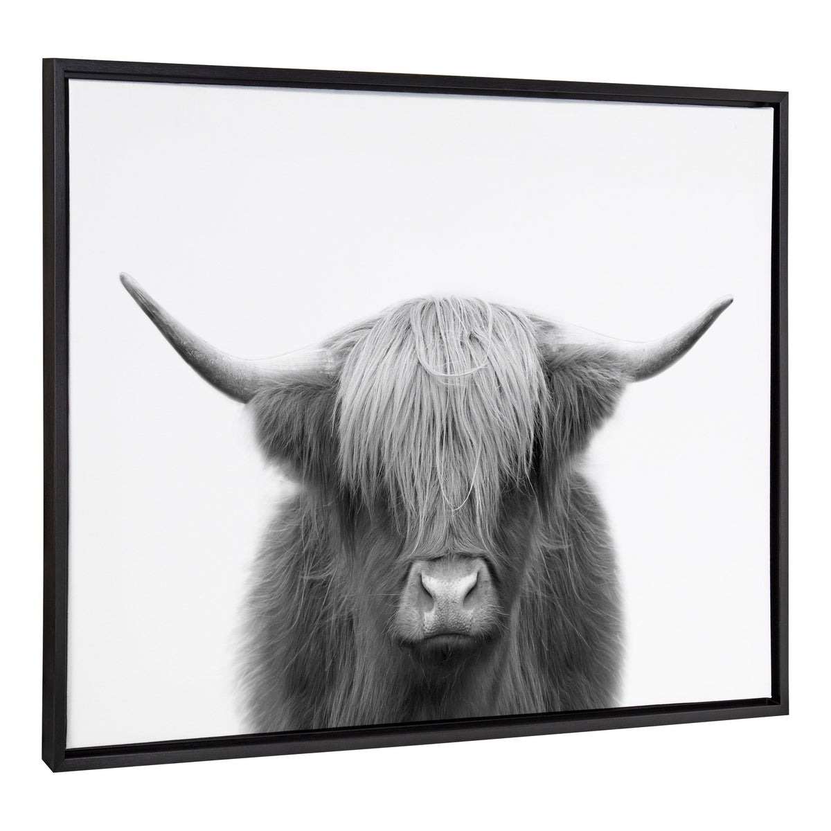Sylvie Hey Dude Highland Cow BW Framed Canvas by The Creative Bunch Studio