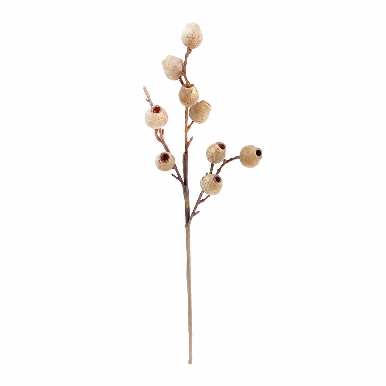 Eucalyptus Pod Spray Citrus