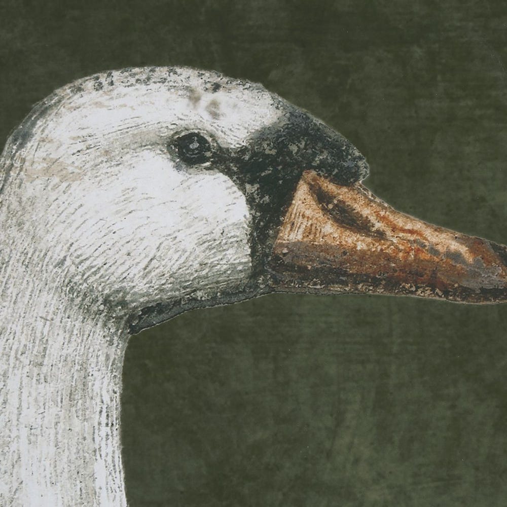 Stillwater Swan Lake Framed Wall Art