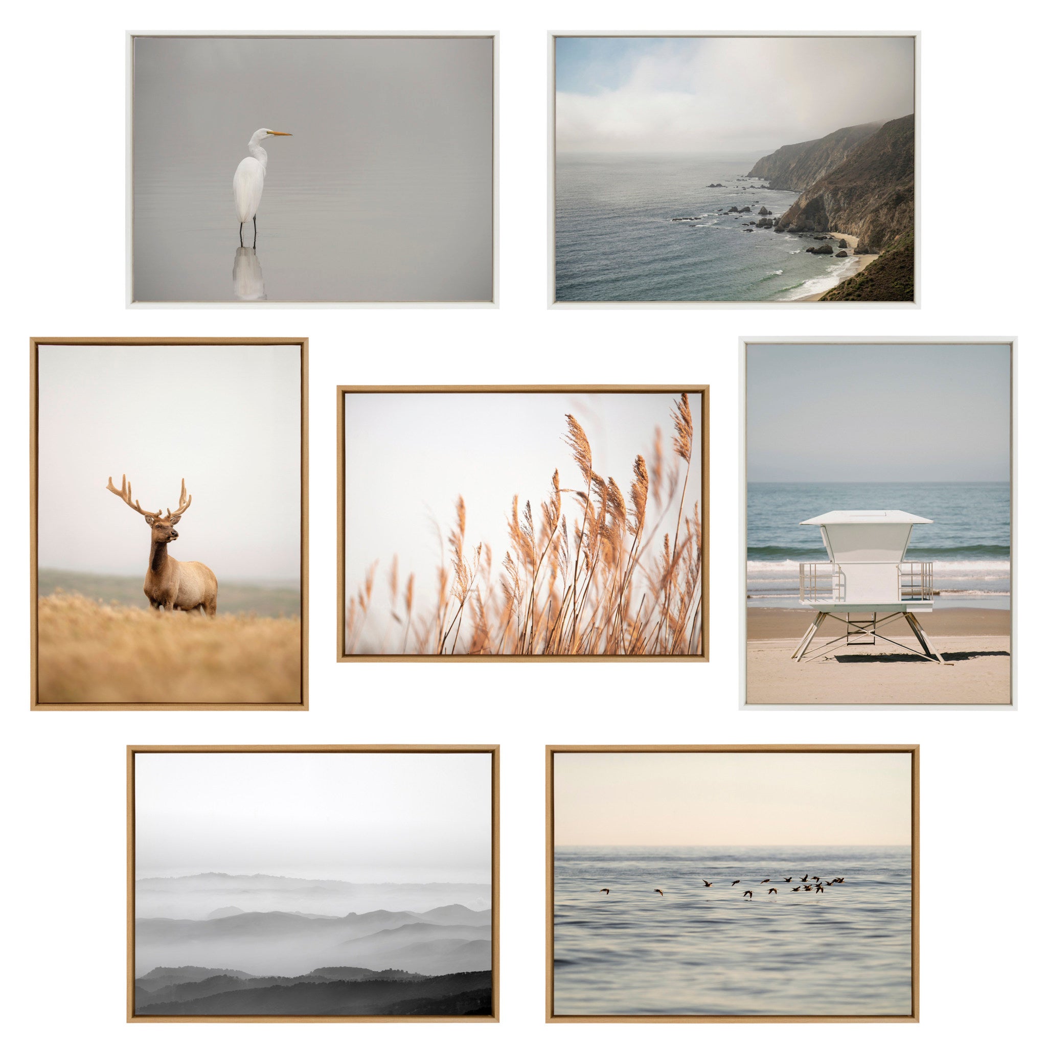 Sylvie Marsh Grass No 4 Framed Canvas by Crystal Lynn Collins