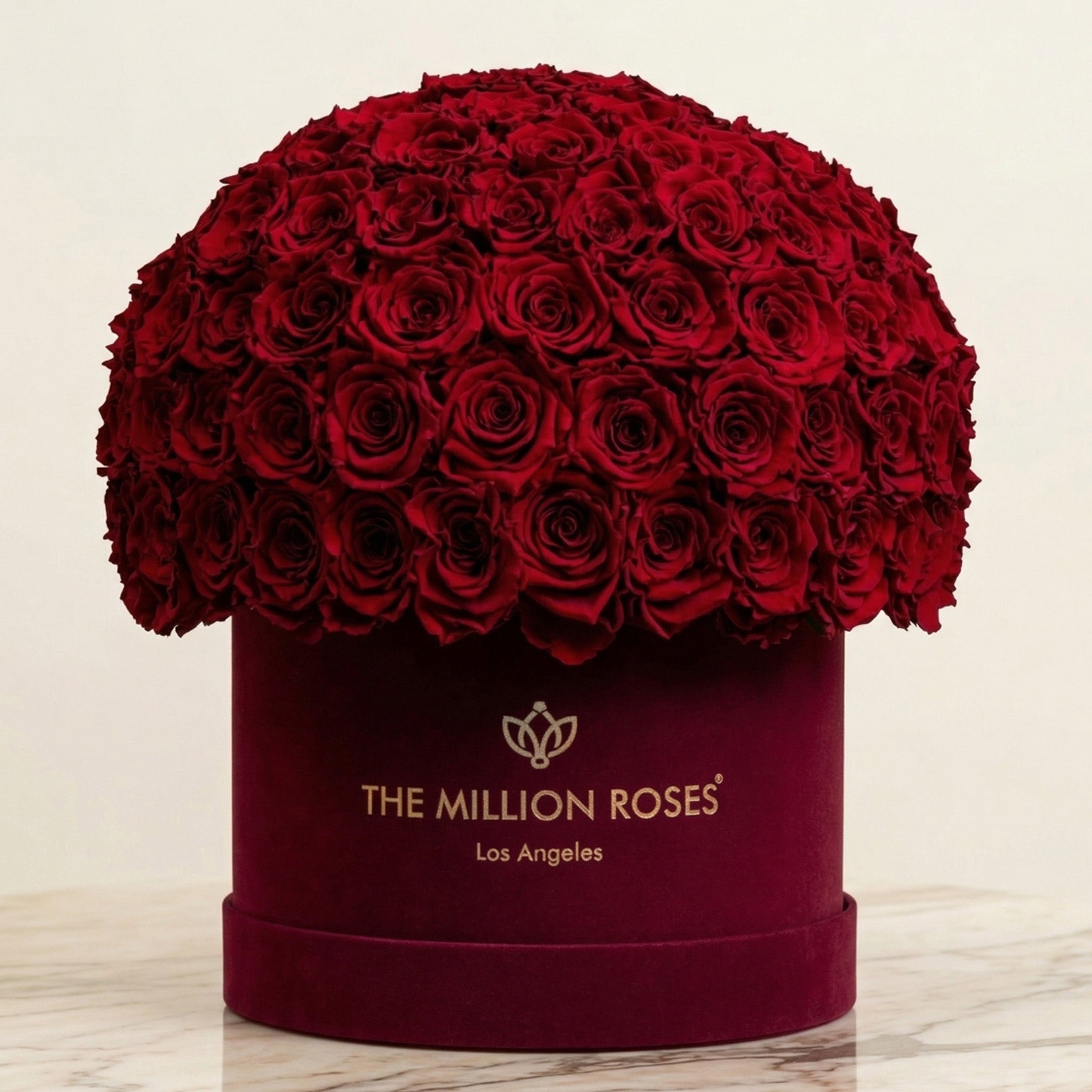 Supreme Bordeaux Suede Superdome Box | Burgundy Roses
