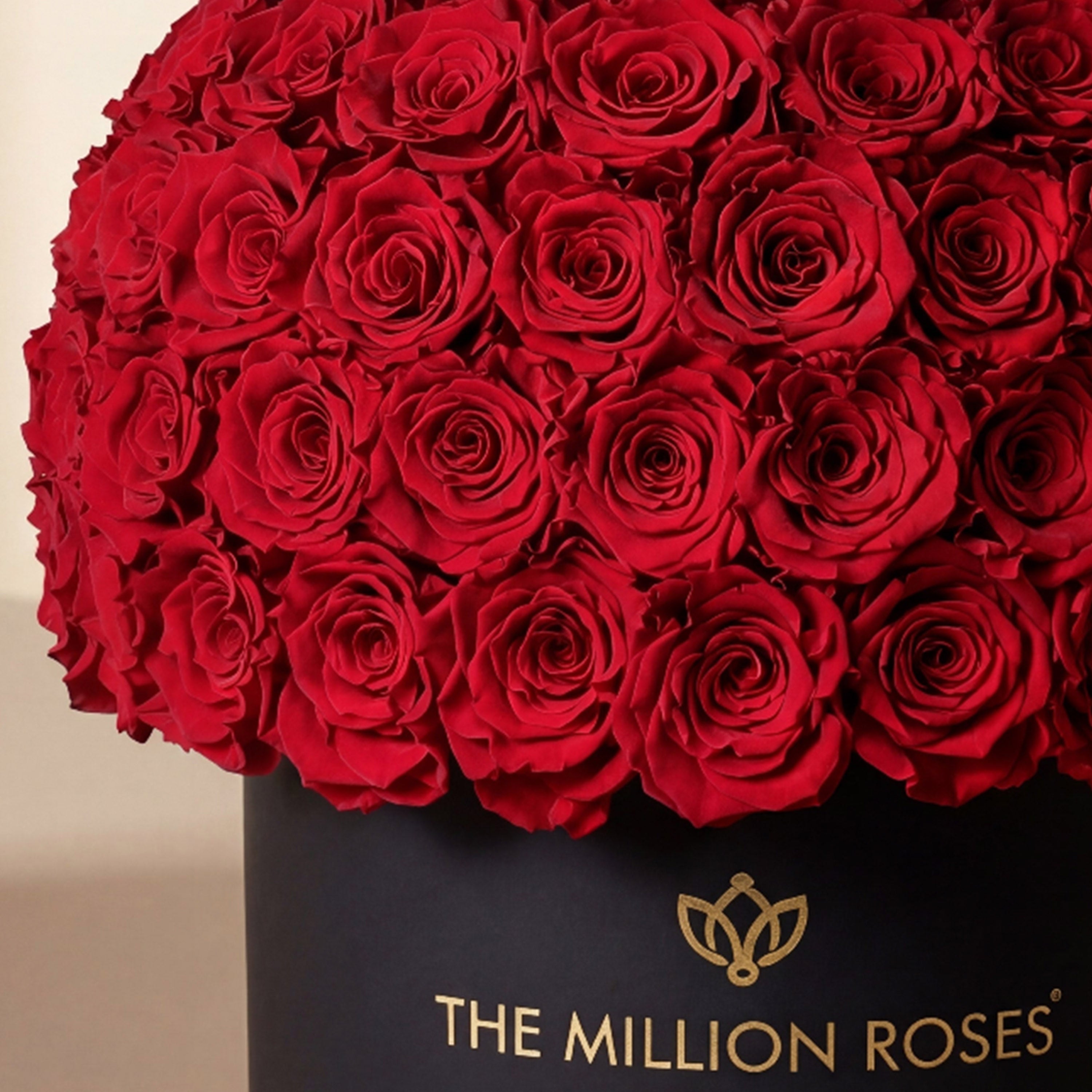 Supreme Black Superdome Box | Red Roses