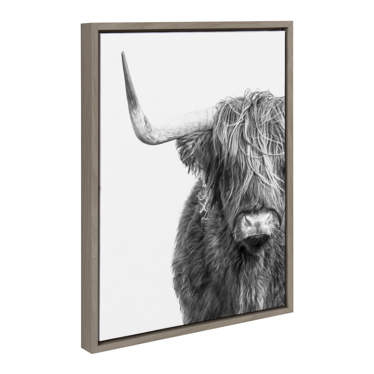 Sylvie B&W Highland Cow No. 1 Framed Canvas by Amy Peterson Art Studio