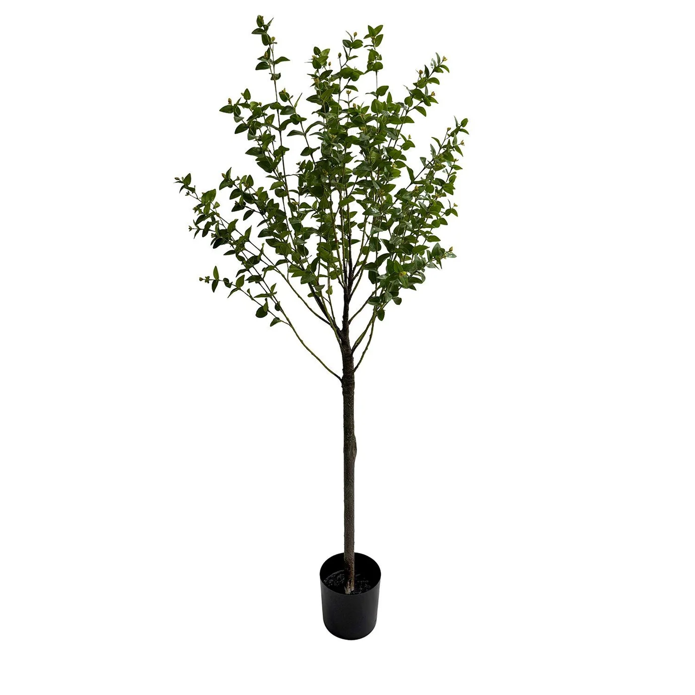 Potted Nicoli Eucalyptus Faux Topiary