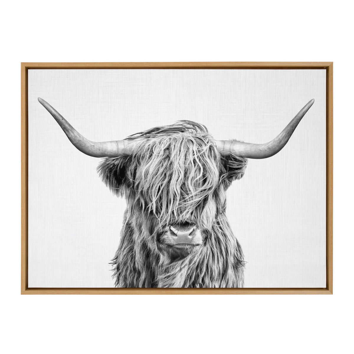 Sylvie Highland Cow 2 Framed Canvas by Simon Te of Tai Prints