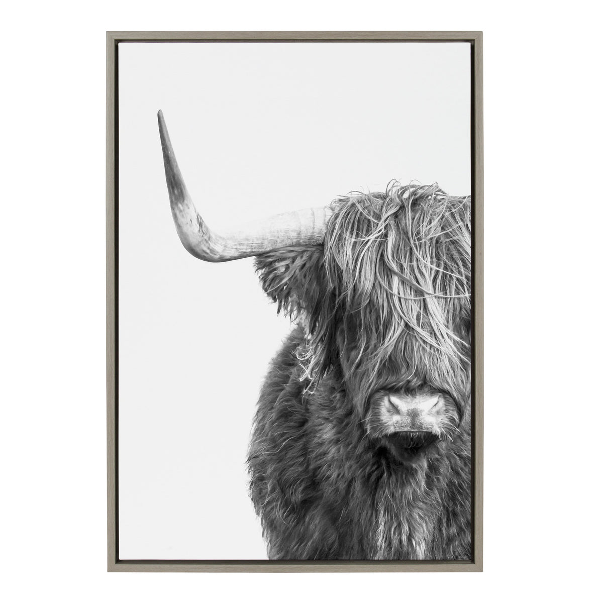 Sylvie B&W Highland Cow No. 1 Framed Canvas by Amy Peterson Art Studio