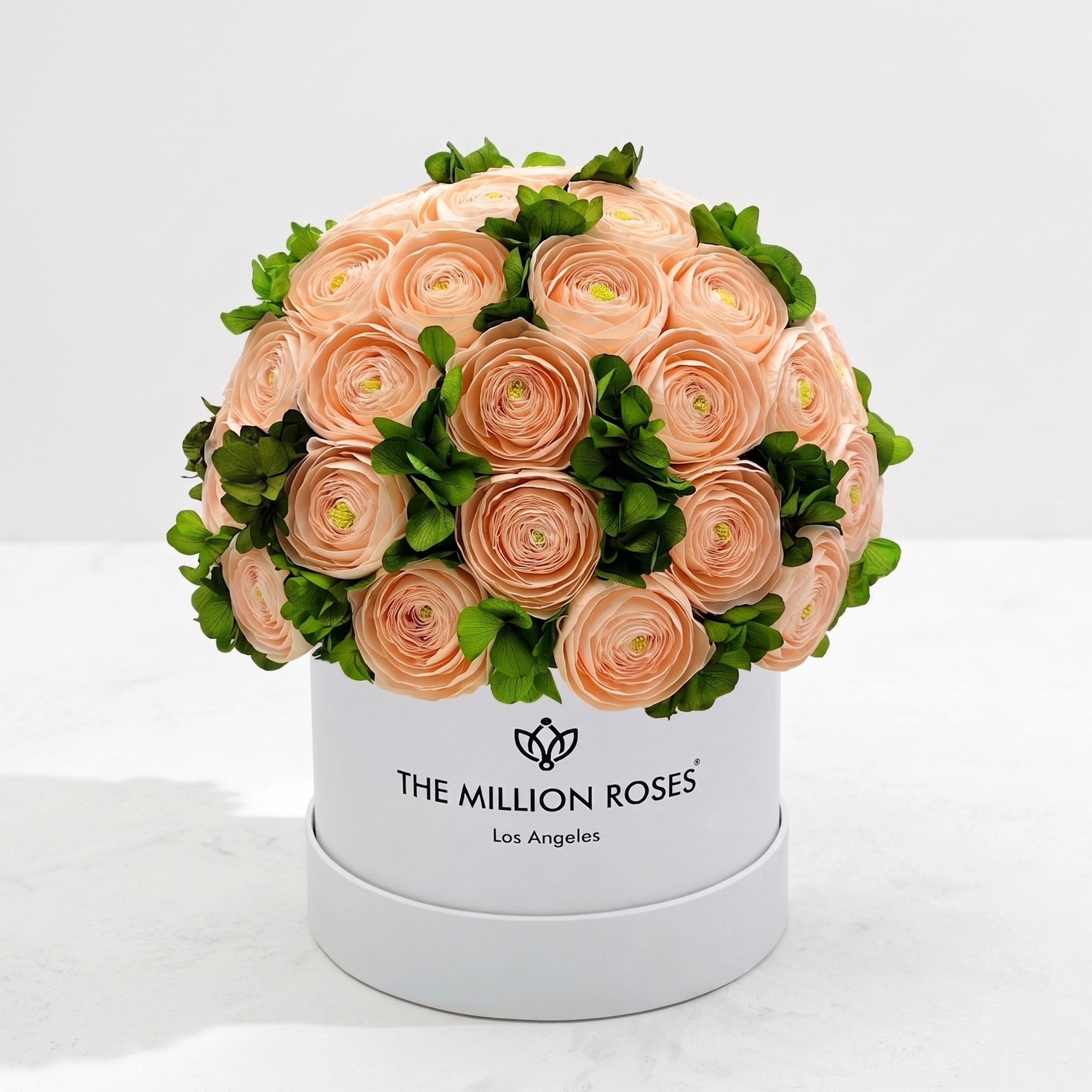 Classic White Box | Peach Persian Buttercups & Green Hydrangeas
