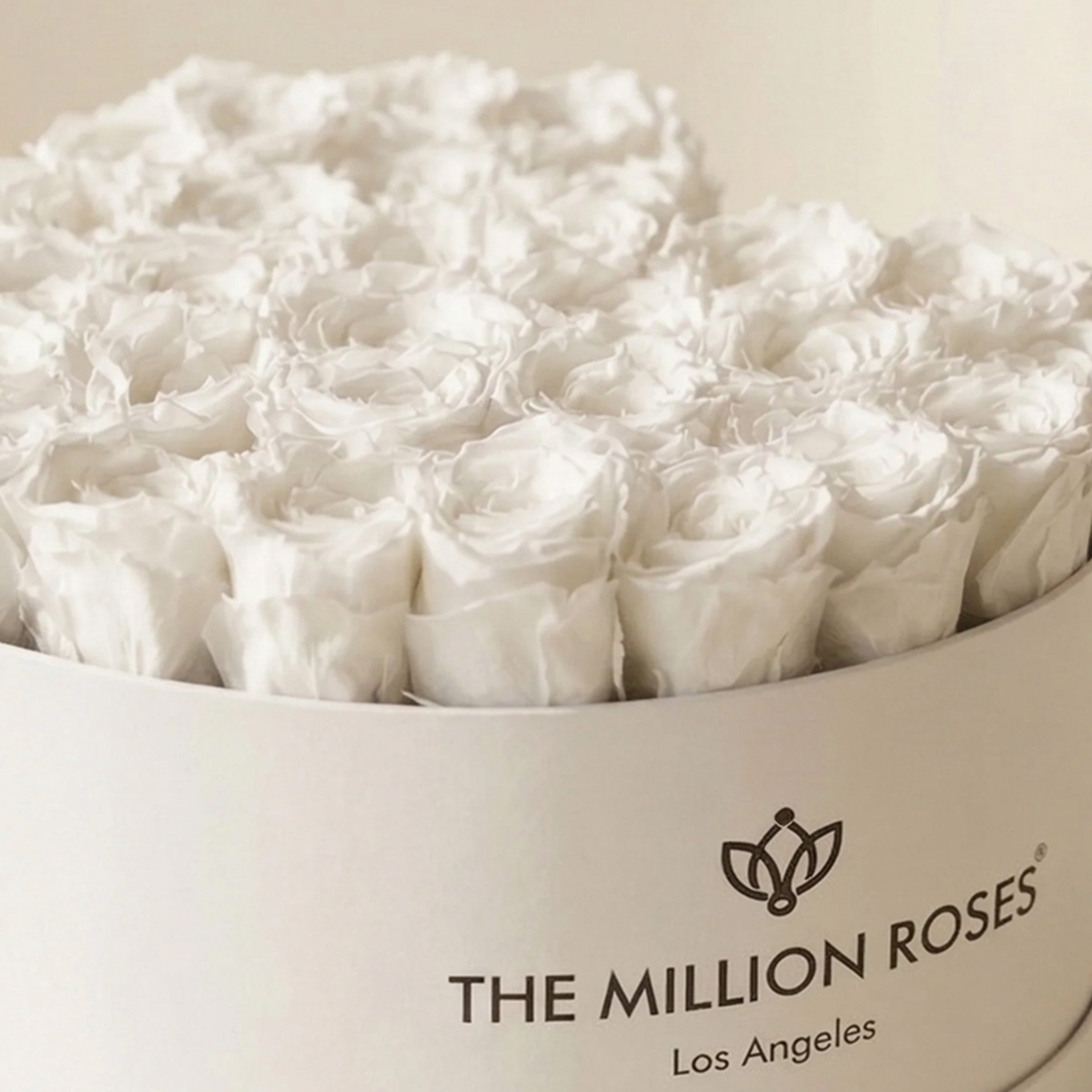 Heart White Box | White Roses