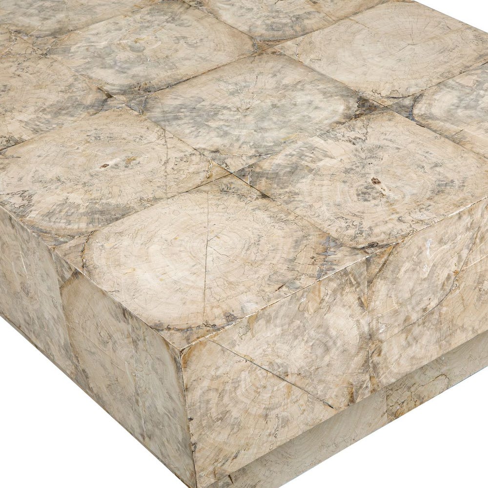 Bleached Tamarind Plinth Coffee Table