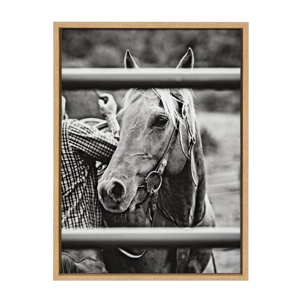 Sylvie Photo Saddling Horse Framed Canvas by The Whiskey Ginger