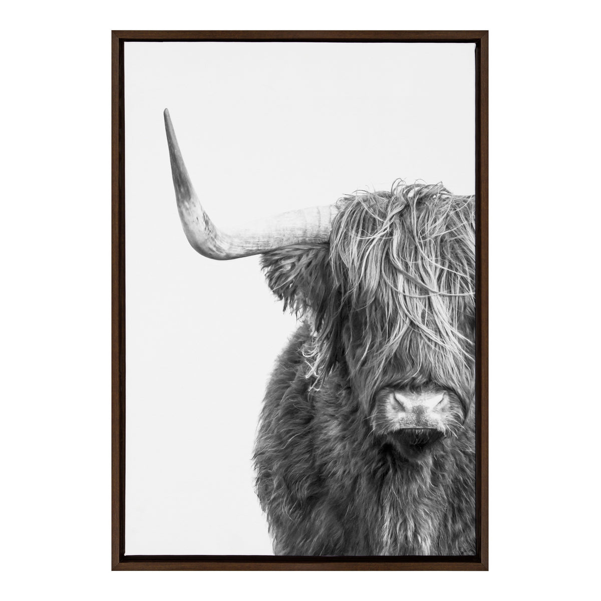 Sylvie B&W Highland Cow No. 1 Framed Canvas by Amy Peterson Art Studio