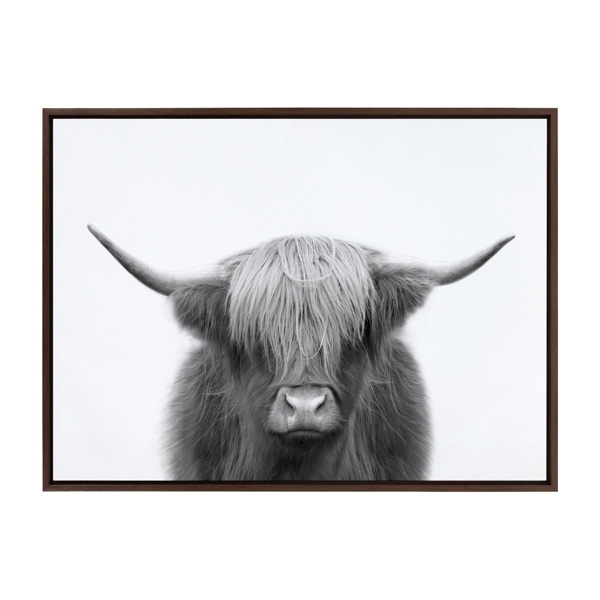 Sylvie Hey Dude Highland Cow BW Framed Canvas by The Creative Bunch Studio