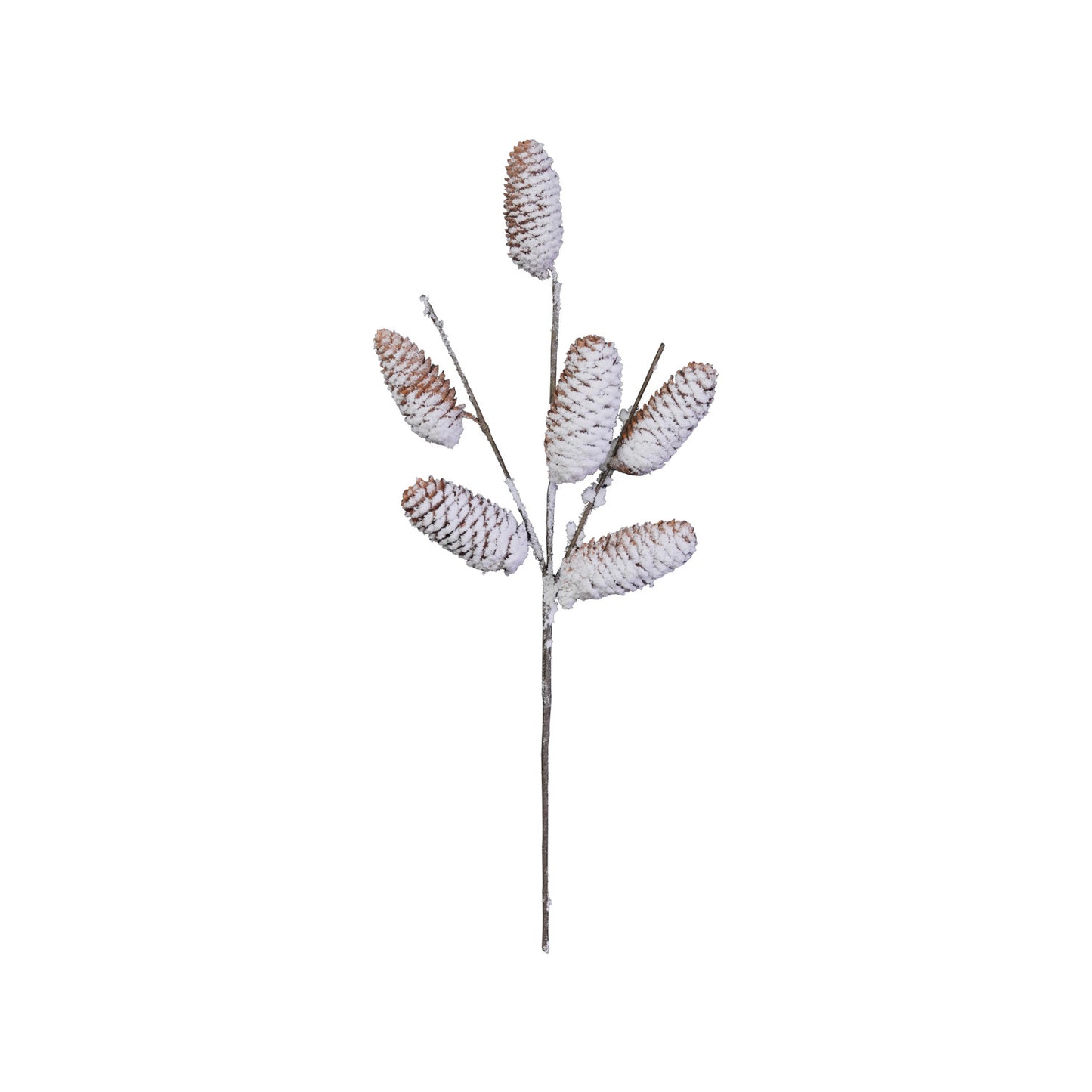 18-1/2"H Natural Pinecone Stem, Snow Finish